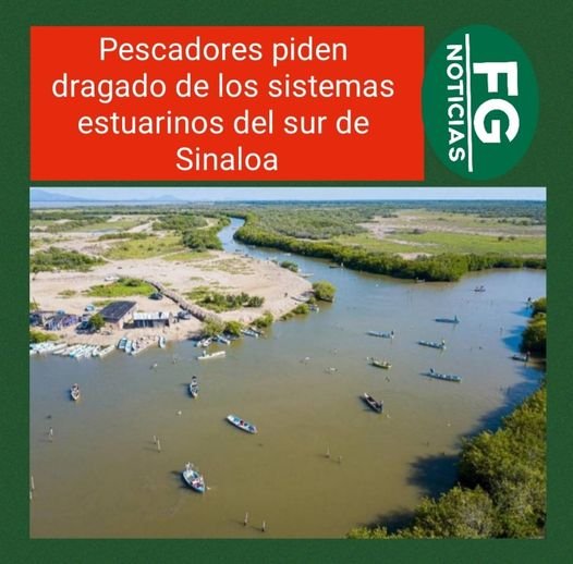 GESTIÓN