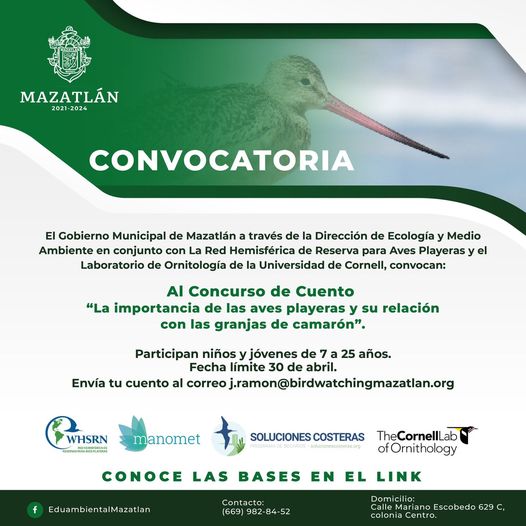 *Participa en el concurso de cuento sobre la importancia de las aves playeras*