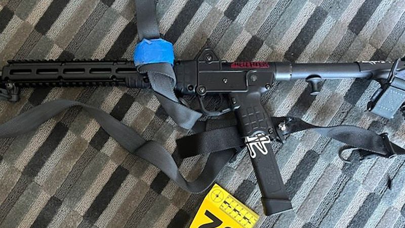 Acciones previas a la comercialización: los directores ejecutivos están cansados de ser responsables de la regulación de armas