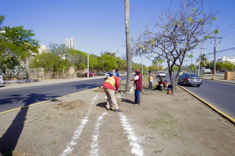 *Le dan vida a camellón central de la avenida Leonismo.*