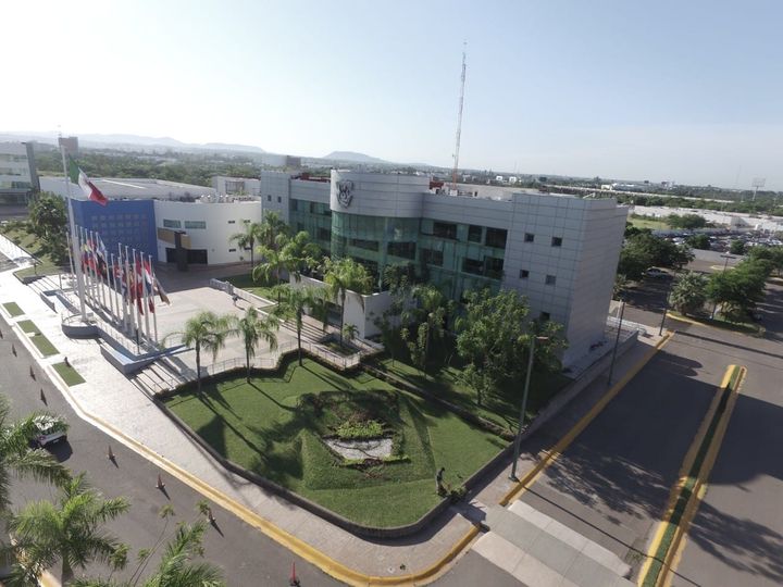 Organizaciones de Medicina y Trabajo Social exigen respeto a la autonomía de la