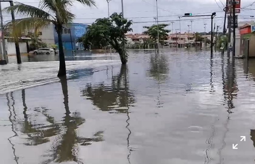 Se supende el servicio de transporte público en Mazatlan