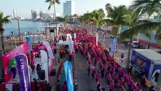 Carrera rosa