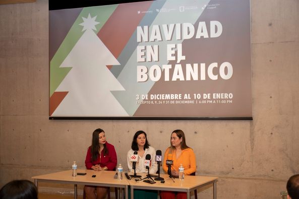 *Vuelve el espectáculo de luces, Navidad en el Botánico a partir del 3 de diciem