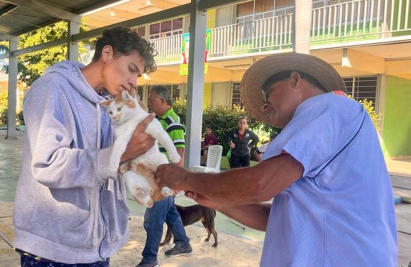 *70 animales son esterilizados en Villa Unión*