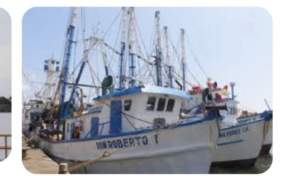 PESCADORES TENDRÁN TRISTE NAVIDAD.