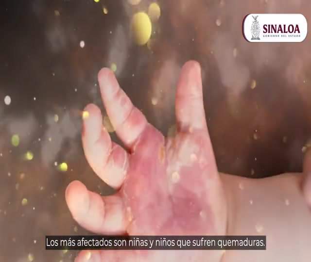 EN ESTAS FIESTAS CELEBRA SIN USAR PIROTECNIA: GOBIERNO DE SINALOA.