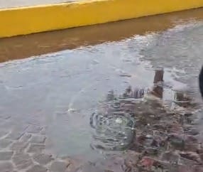 *JUMAPAM saca del alcantarillado un tapón de grasas de cocina en el Paseo Olas A