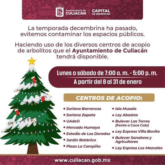 *Ayuntamiento invita a deshacerse responsablemente de los Árboles Navideños*