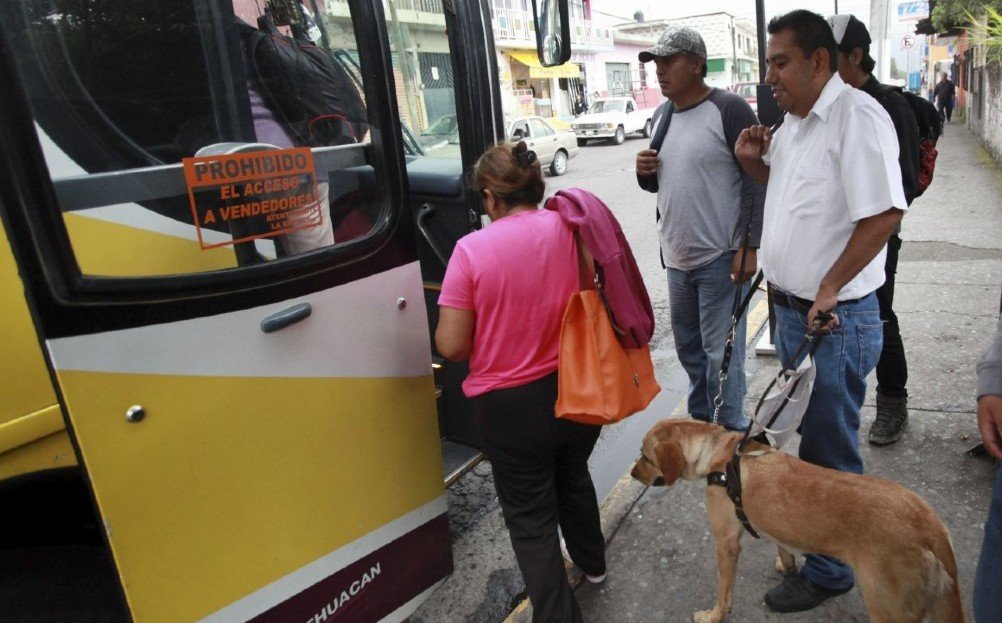 Mancera busca cambiar denominación de perros guía por asistencia