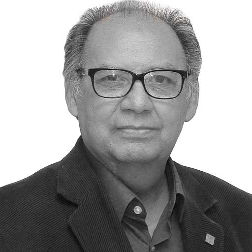 El Plan de Ayala