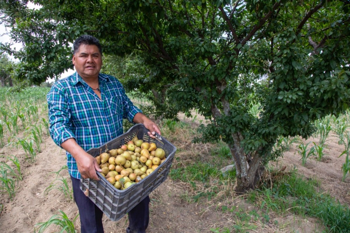 Cambio climático causa variación de precios en productos del campo