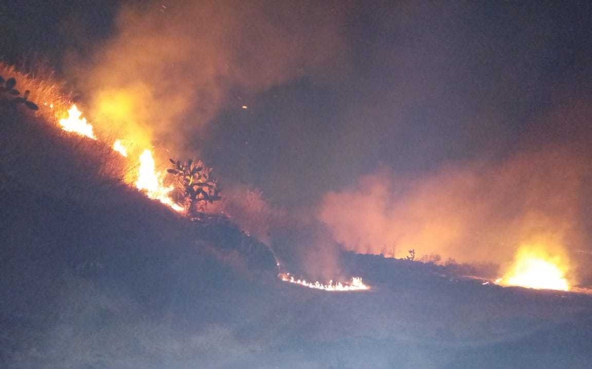 CdMx. Se registra incendio en Picacho Ajusco; no hay lesionados