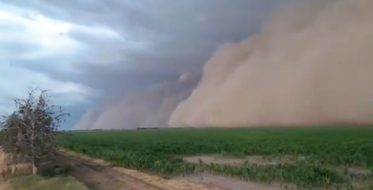 Tormenta de arena en Argentina destroza techos de casas y tira árboles