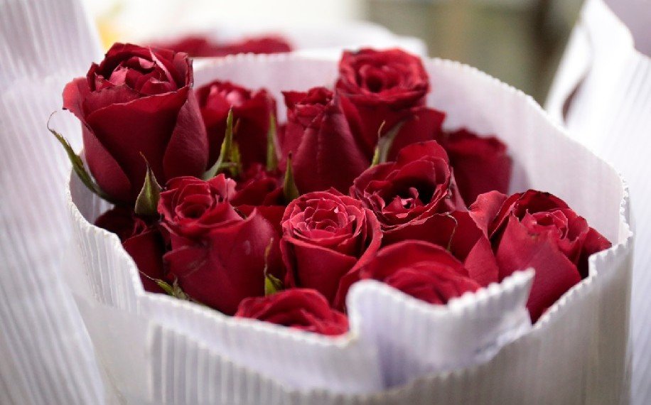 San Valentín 2021. ¿Qué arreglo de flores regalar este 14 de febrero?