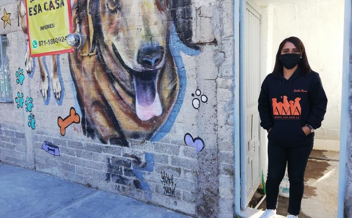 En La Laguna, albergue pide ayuda para mudar a perritos