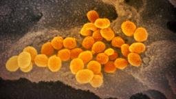 Centro de alojamiento para refugiados alemán afectado por un brote de coronavirus